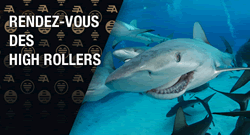 ACFPoker s'adresse aux gros joueurs de poker une fois par semaine.