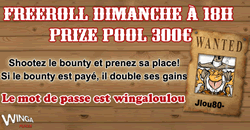 Mot de passe du freeroll Winga Poker dimanche 16 octobre 2011