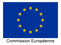 La Commission Européenne entraine le retard de l'attribution des licences de poker légal en France