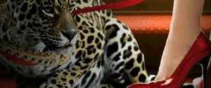 JoeyStarr Vs Women - Les femmes face au jaguarr